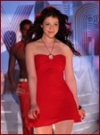 michelle-trachtenberg_12.jpg - 179 KB