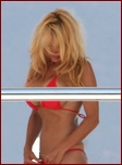 pamela-anderson-topless_13.jpg - 111 KB