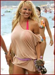 pamela-anderson_08.jpg - 185 KB