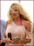 pamela-anderson_09.jpg - 159 KB