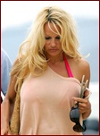 pamela-anderson_10.jpg - 139 KB