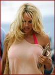 pamela-anderson_16.jpg - 168 KB