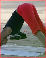 nicole-scherzinger_09.jpg - 111 KB