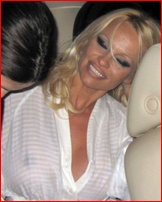 pamela-anderson_16.jpg - 87 KB