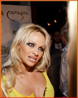 pamela-anderson_10.jpg - 157 KB