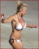 pamela-anderson_12.jpg - 85 KB