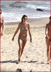 Alessandra Ambrosio Nude Pictures