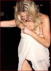 Brandi Glanville Nude Pictures