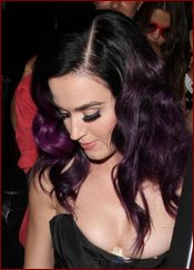 Katy Perry Nude Pictures