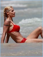 Michelle Hunziker Nude Pictures