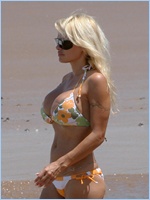 Pamela Anderson Nude Pictures