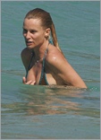 Nicollette Sheridan Nude Pictures